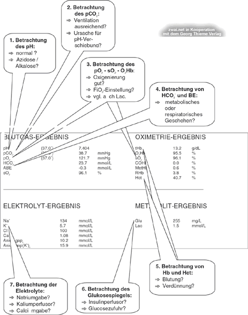Abb. 2 Systematische Bearbeitung eines Blutgasausdruckes