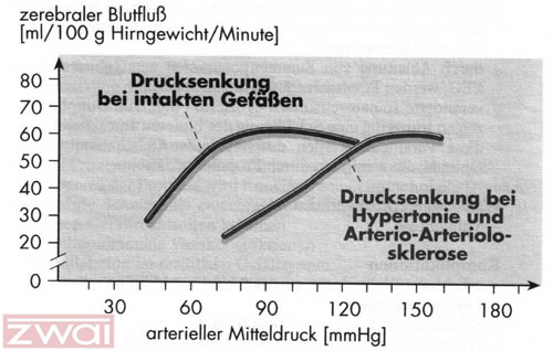 Abb. 3: Autoregulationskurve des Hirndrucks